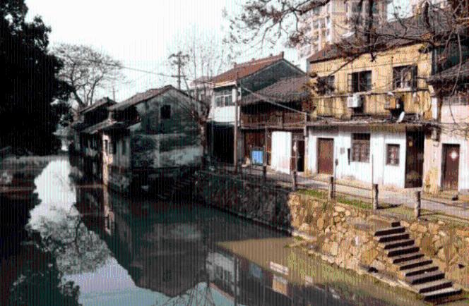 动物帮帮忙保卫家园